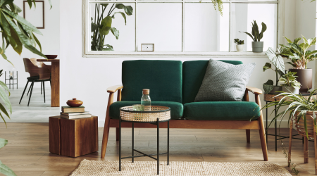 green sofa in living room with lots of house plants