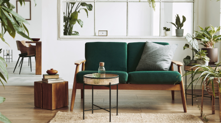 Living room with deep green sofa and lots of house plants